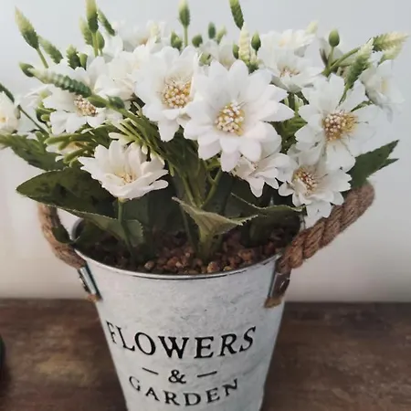 Pod Sosnami Miedzylesie 6os 民宿 奥斯特罗达