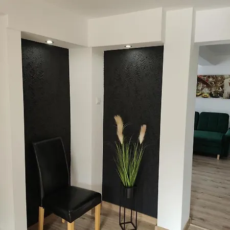 Pod Sosnami Miedzylesie 6os * 奥斯特罗达