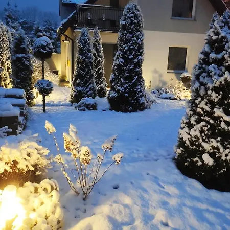 Pod Sosnami Miedzylesie 6os * أوسترودا