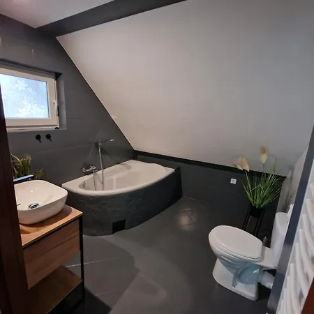 منزل للإقامة Pod Sosnami Miedzylesie 6os أوسترودا