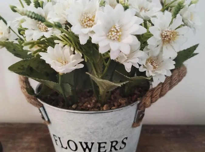 Pod Sosnami Miedzylesie 6os ホームステイ オストルダ